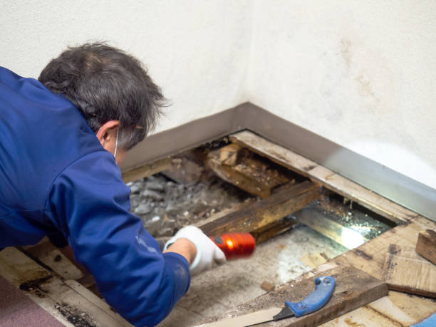 Best Post-Remediation Services in Lake Worth, TX
