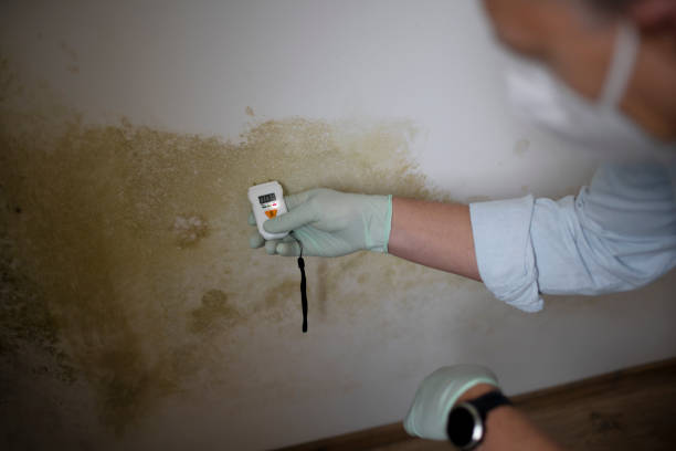 Best Bathroom Mold Remediation in Lake Worth, TX
