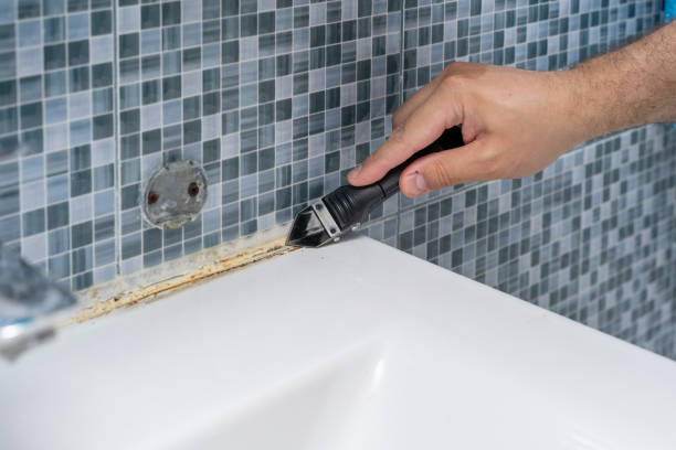 Best Post-Flood Mold Remediation in Lake Worth, TX